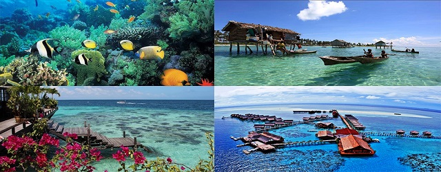 馬來西亞,仙本那,仙本那自由行,必游,景點,西巴丹島,敦沙卡蘭海洋公園,奧瑪多島,邦邦島,卡帕萊島